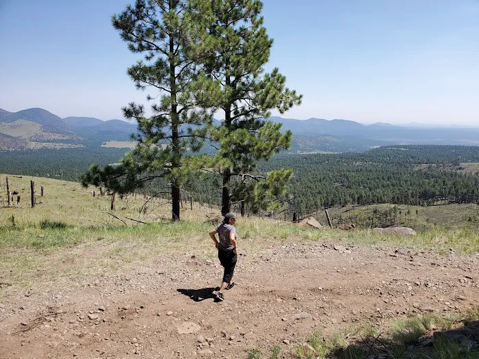Lockett Meadow Campground 9