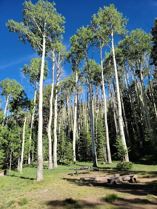 Lockett Meadow Campground 8