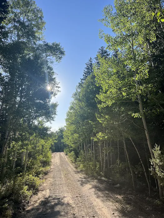 Snake Creek Primitive Campgrounds 0