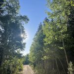 Snake Creek Primitive Campgrounds