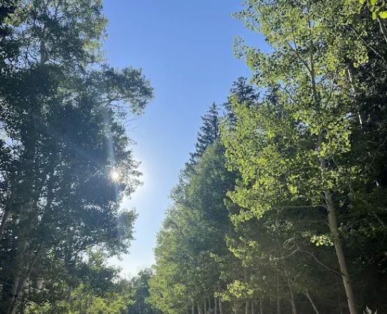 Snake Creek Primitive Campgrounds