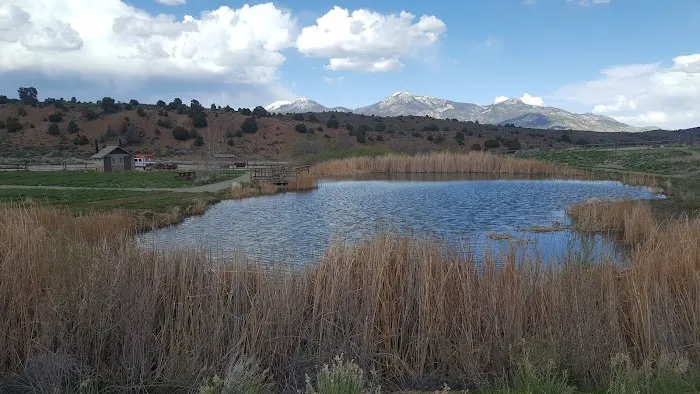 Sacramento Pass BLM Campground 5