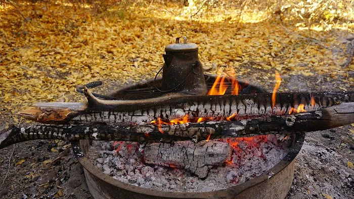 Cleve Creek Campground 9