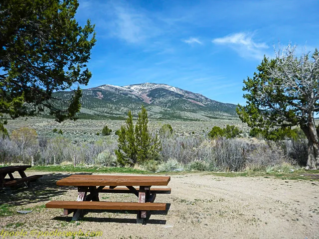 Cleve Creek Campground 1