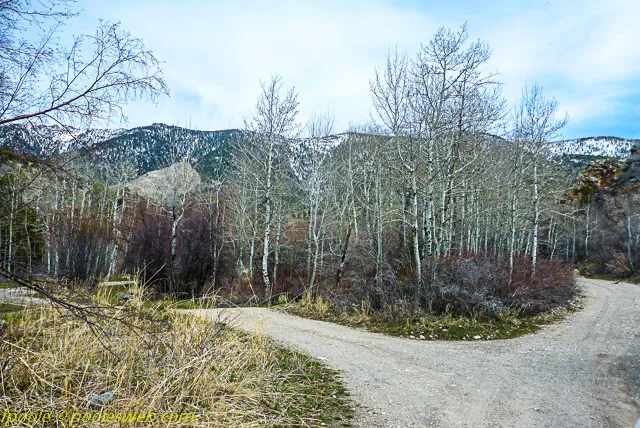 East Creek Campground 0