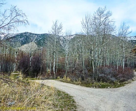 East Creek Campground