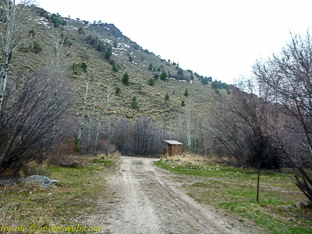 East Creek Campground 4