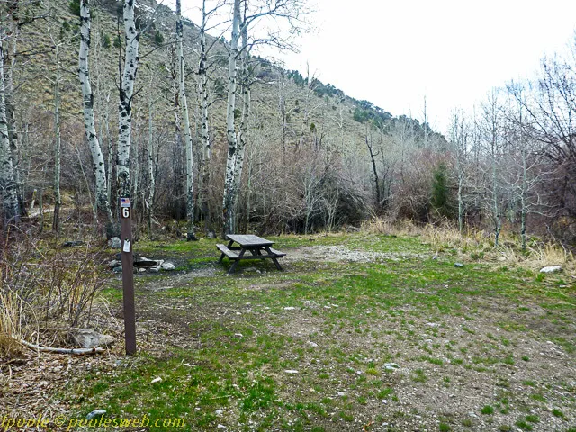 East Creek Campground 1