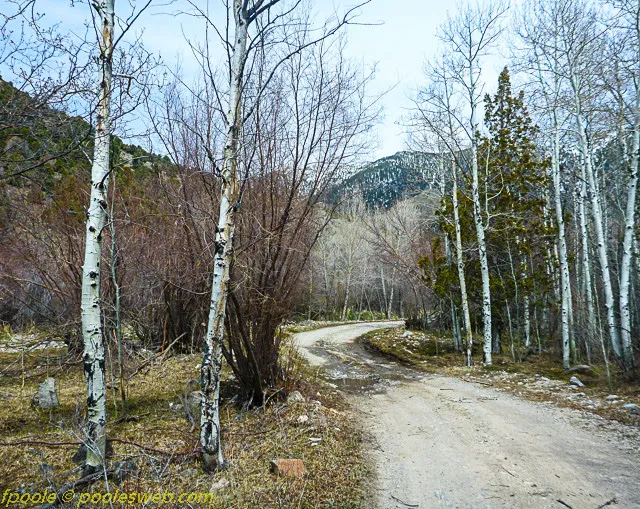 East Creek Campground 3