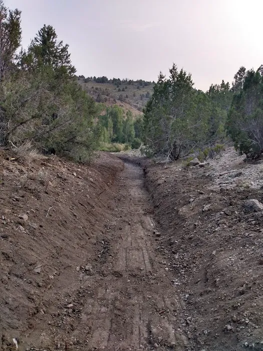 East Creek Campground 9