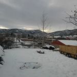 Forestry Division-Conservation Camp