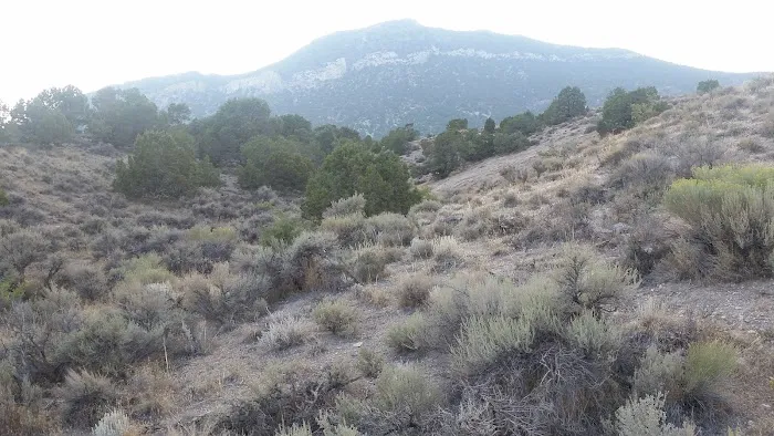 Ely Ranger District Office 0