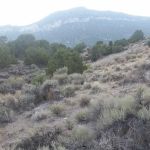 Ely Ranger District Office