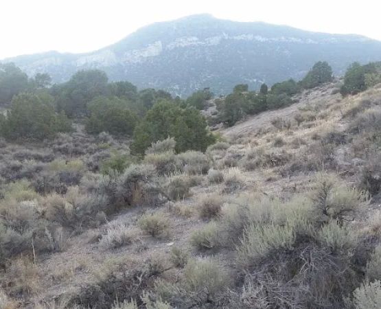 Ely Ranger District Office