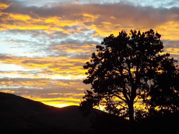Bob Scott Campground 3