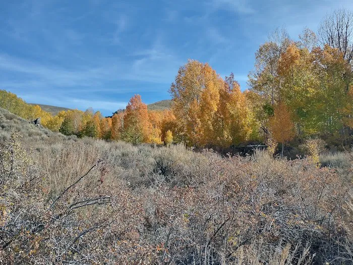 Bob Scott Campground 7