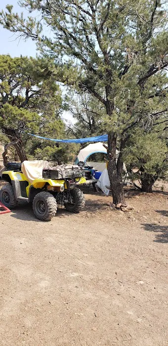 Toquima Cave Campground 9