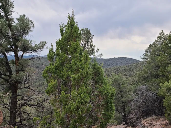 Toquima Cave Campground 8