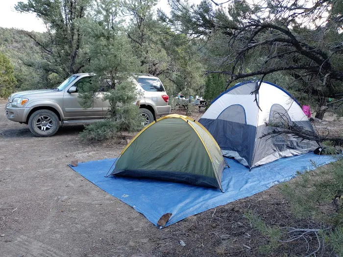 Toquima Cave Campground 2