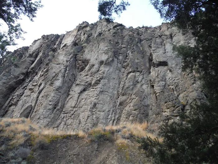 Big Cottonwood Campground 3