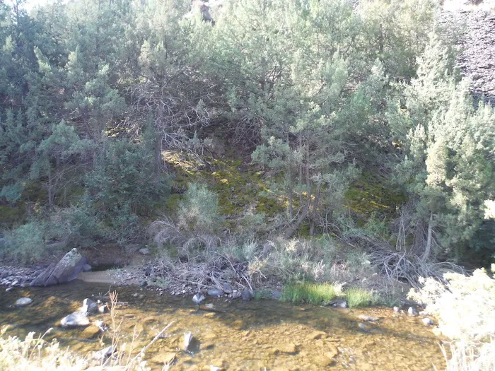 Big Cottonwood Campground 1