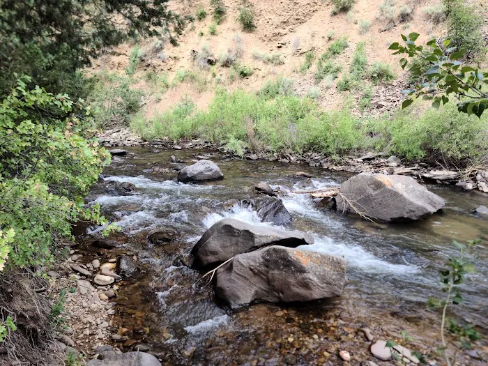 Big Cottonwood Campground 8