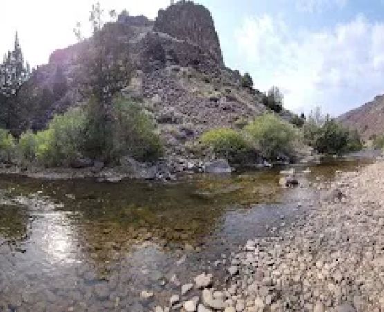 The Forks