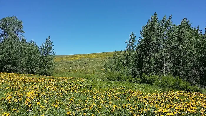 Big Bend Campground 0
