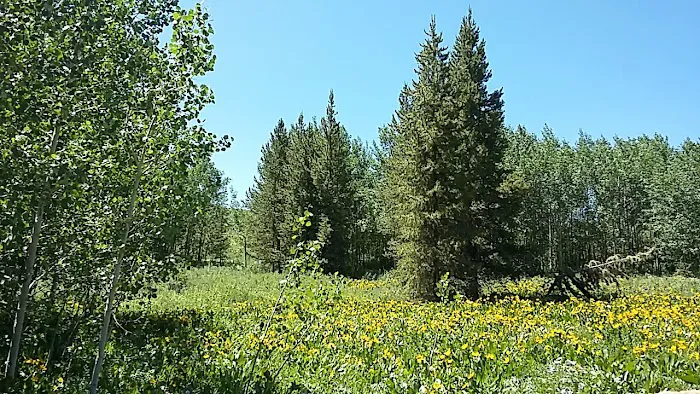Big Bend Campground 2