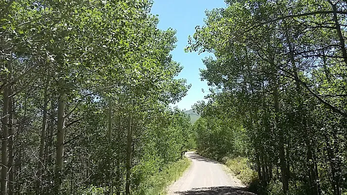 Big Bend Campground 3