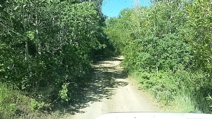 Big Bend Campground 1