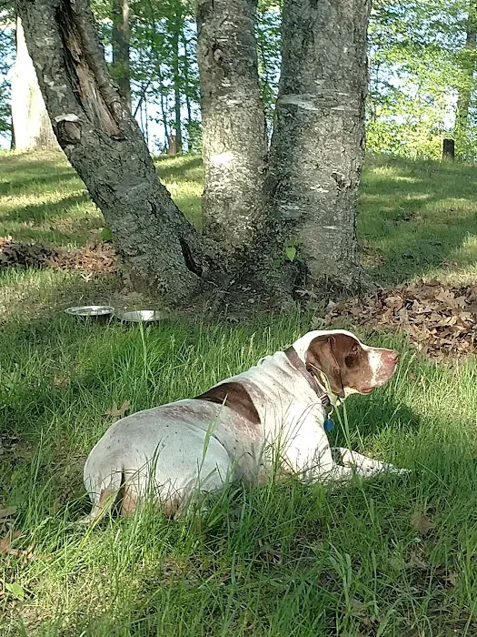Tubbs Island 5