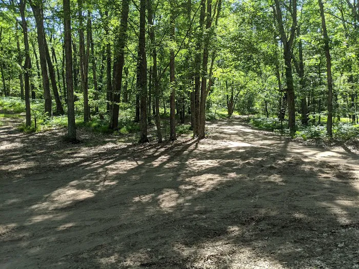 Condon Lakes West 7