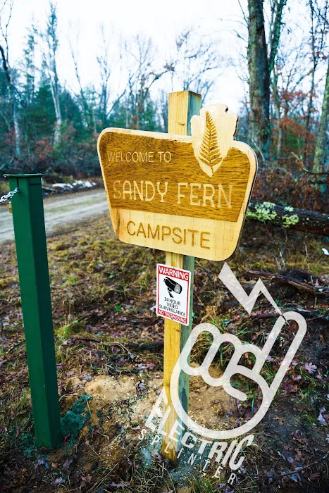 Sandy Fern Campsite 9