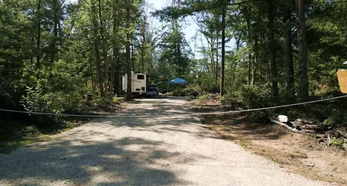 Sandy Fern Campsite 1