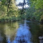 Pines Point Campground