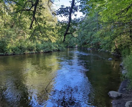 Pines Point Campground