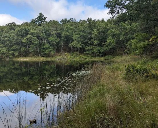 Bass Lake Campsite, Owasippe Scout Reservation