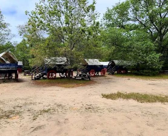 Wagons On