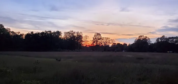 Oak Meadows 4