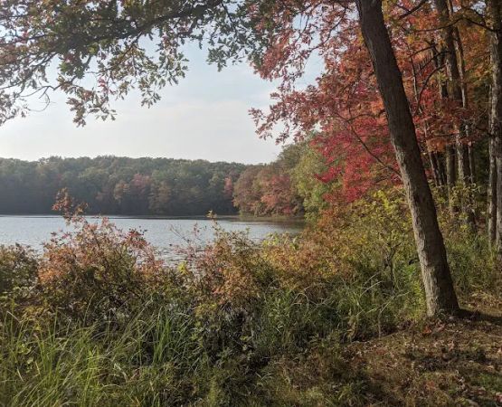 Whelan Lake Area