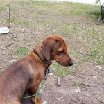 Timber Creek Campground