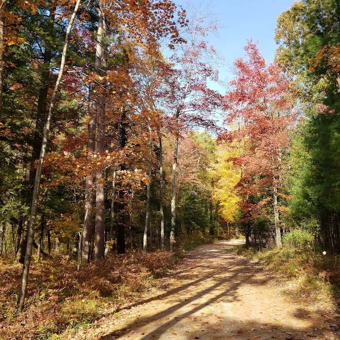 Timber Creek Campground 4