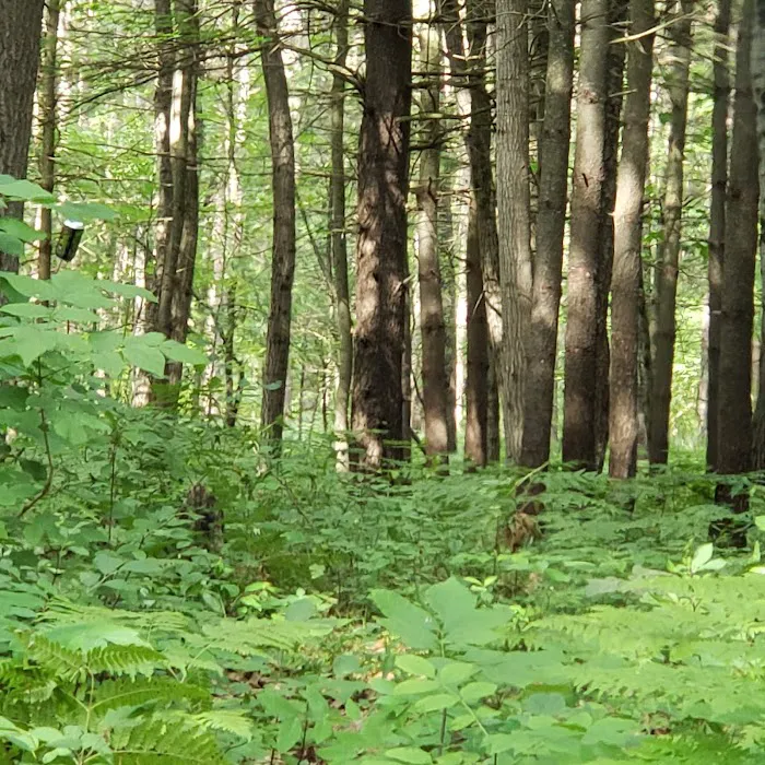 Timber Creek Campground 9