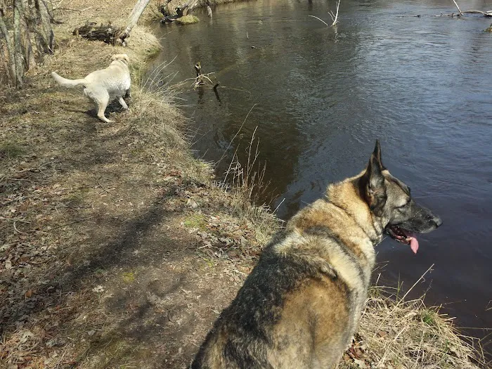 Bowman Bridge River Access 4