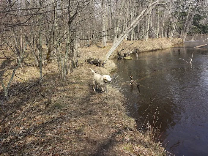 Bowman Bridge River Access 5