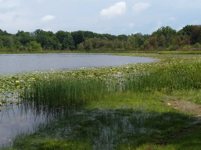 First Lake Park 7