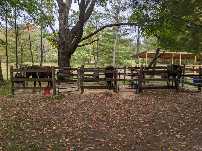 D bar D Ranch 6