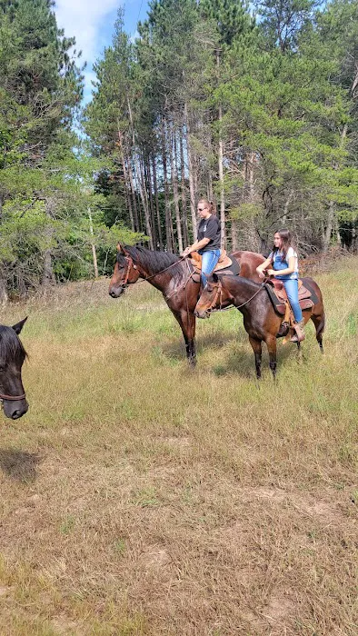 D bar D Ranch 0