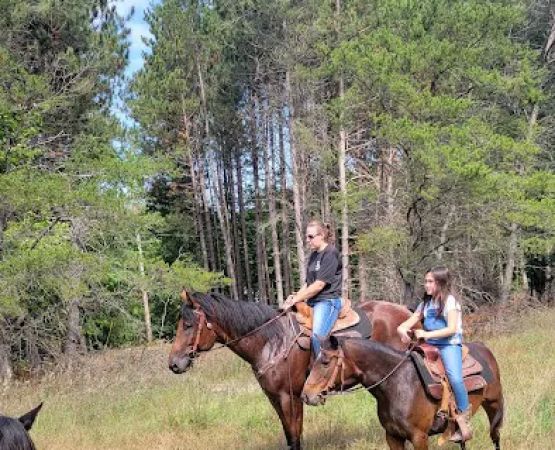 D bar D Ranch